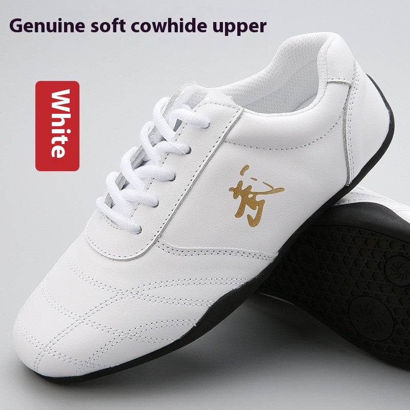 Genuine Leather Professional Male Practice Shoes Tai Chi Martial Arts Shoes