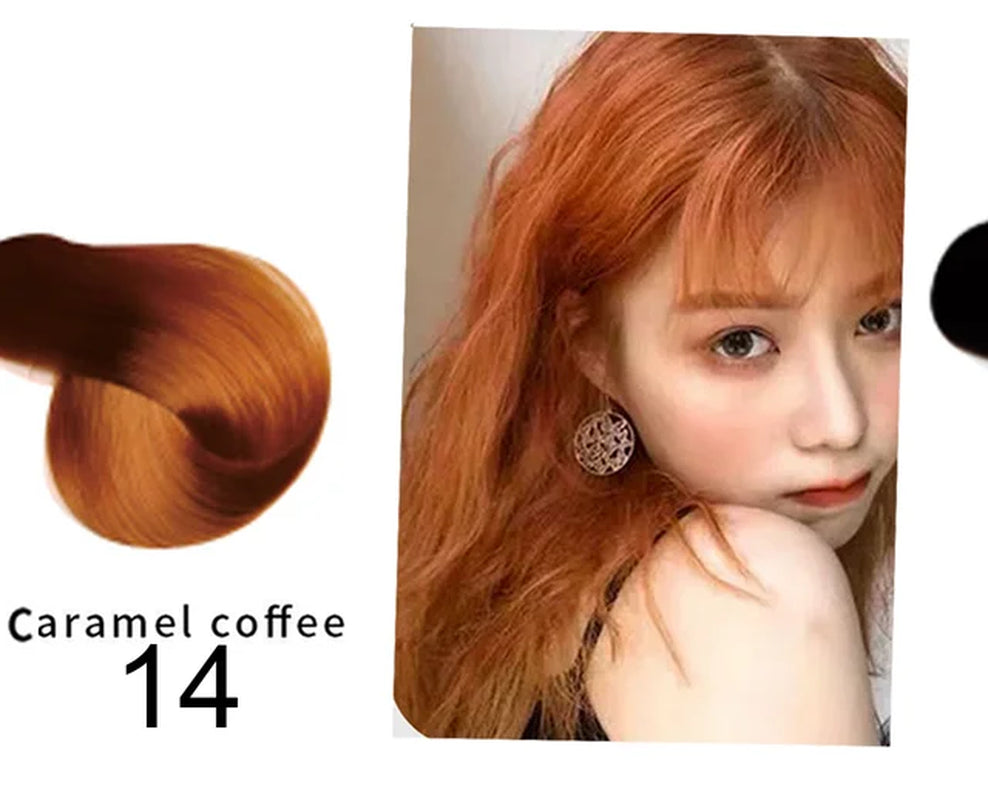 Natural Organic Brown Hair Color Permanent Hair Coloring Shampoo Long Lasting Hair Dye Shampoo for Women Professional Dye